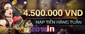 zowin